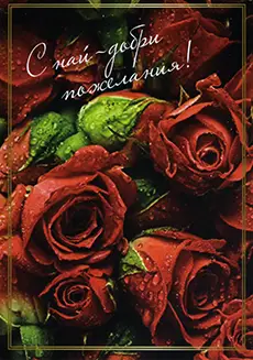 Универсална